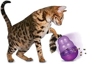 stimulating cat toys