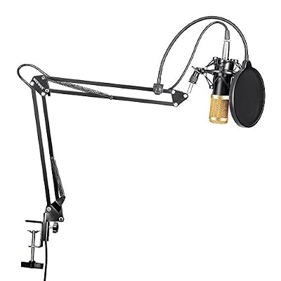 Neewer® NW-800 Professionnel Studio Radiodiffusion Enregistrement Microphone à Condensateur et NW- 35 Réglable Microphone d'Enregistrement Bras de Suspension Ciseaux avec Support Antichoc et Kit de Montage Pince