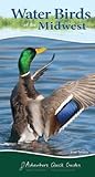 Front cover for the book Water Birds of the Midwest Quick Guide (Adventure Quick Guides) by Stan Tekiela