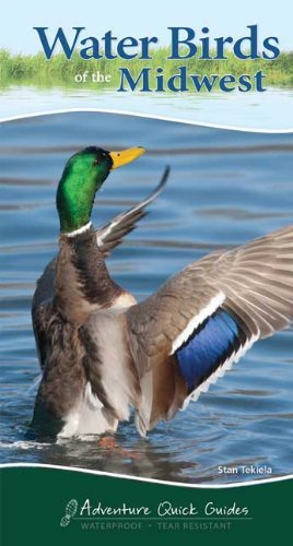 Water Birds of the Midwest Quick Guide (Adventure Quick Guides)