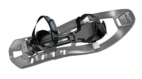 Ferrino - Raquetas de nieve Pinter Special, gris, 34/48