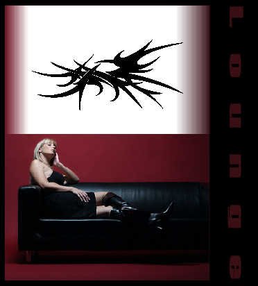 INDIGOS 4052166040143 Wandtattoo w171 Tribal,Spitzen, Fantasy Wandaufkleber 120 x 56 cm, schwarz