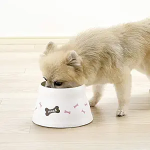 Richell - Raised Dog Bowl Small, Bone (RCL50010)