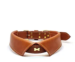 ZIIZO Genuine Leather Dog Collar - Collar Style (Extra Large, Tan), Leather, (Pack of 1)