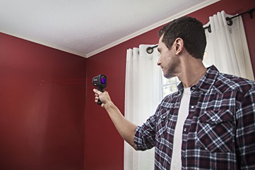 FLIR Wärmebild-IR-Pyrometer, 1 Stück, TG165 - 24