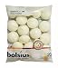 Produktbild BOLSIUS 20 FLOATING CANDLES [Ivory] x 1
