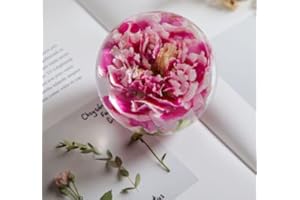 UOOTPC Zhyx Nelkenblume Briefbeschwerer Carnation Flower Crystal Wishing Ball Der einzigartige Briefbeschwerer Nelkenblume ist das perfekte Geschenk für Familie, Freunde, Paare und Kinder (7 cm Durchmesser)