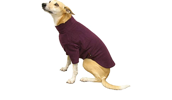 hotterdog amazon