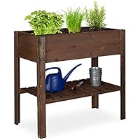 Amazon.es: Huertos urbanos y kits: Jardín