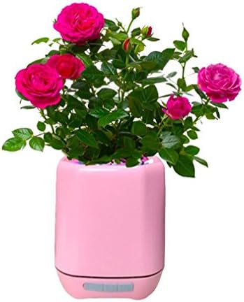 Music pots Flower Pot Speaker Bluetooth Wireless Stereo Charge by USB Colourful Night Light Pots Touch Plant Piano Music Smart Music Plant Pot for Office, Bedroom, Living Room (Plant Not In