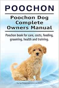poochon puppies cost