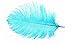 Produktbild Echt Straußenfedern (Pack of 5) - Showgirl Spadones - Für Die Dekoration Kostüme, Kopfschmuck, Hochzeiten, Partys - Playing Mit Haustiere und Pferd Federbusch - Aqua blau, 36cm