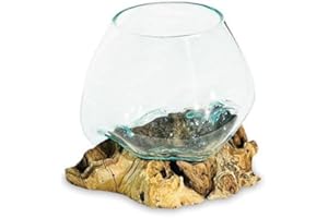 My Square Mile Molten Glass Display Bowl On Wood Root Stand Glass Rustic Ornament Sculpture Key Sweet Display Dish (Medium)