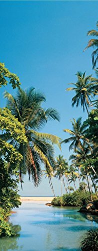 VLIES Türtapete PALM LAGOON (616V) Größe 90 x 200 cm in 2 BAHNEN 45 cm Breite x 200 cm Höhe - hoch qualitativer fotorealistischer Digitaldruck ! Non Woven Wall Mural Fototapete -XXL Palmen Strand Sonne Wald Bäume Meer Kaaribik Südsee Landschaft Natur- Motivtapete Postertapete Bildtapete