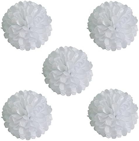Prochive Tissue Flower Tissue Hanging paper Pom Poms, Paper Flower Ball ,White Tissue Flower Ball Wedding Party Decorations, Outdoor Decoration, for Christmas Weddings, Birthday, Craft, 5 pcs