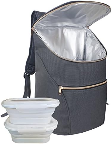 JSK Stylish Insulated Cooler Backpack + Two Square, Leakproof, Collapsible Silicone Food Containers