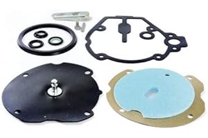 LANDIRENZO Kit Revisione Riduttore Gpl LI02-LI03 Landi Renzo