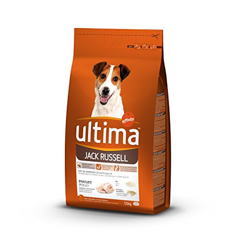 Croquettes Jack Russell au Poulet pour Chien - Ultima - 1,5Kg