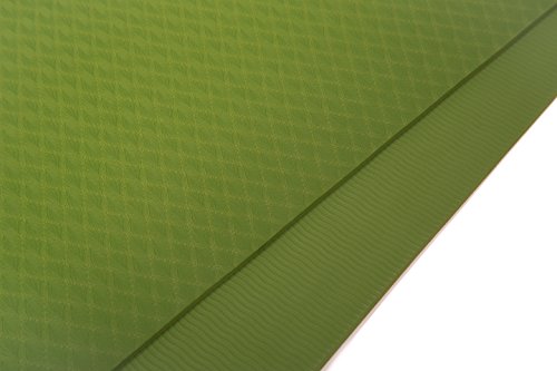 Good Times Yogamatte, TPE Matte, rutschfest, schadstofffrei, umweltfreundlich, hypoallergen und hautfreundlich, SGS geprüft, Gymnastikmatte, Fitnessmatte, Sportmatte, Trainingsmatte mit Tasche und Trageband (Grasgrün) - 3