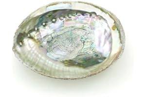 JIZIAN 1Pc Colorful 4-4.5 Inch Abalone Shell Bowl Natural Smudge Bowl for Sage Burning and Incense Sea Shell Smudging Bowl for Decor and Display, Incense Holders Large