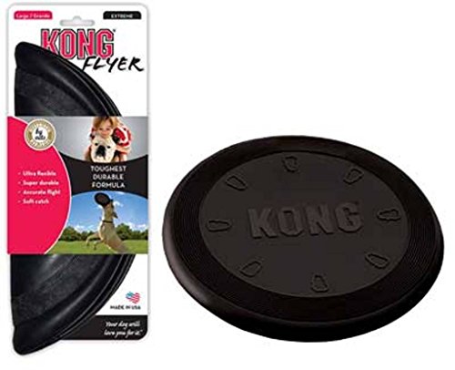kong frisbee extreme