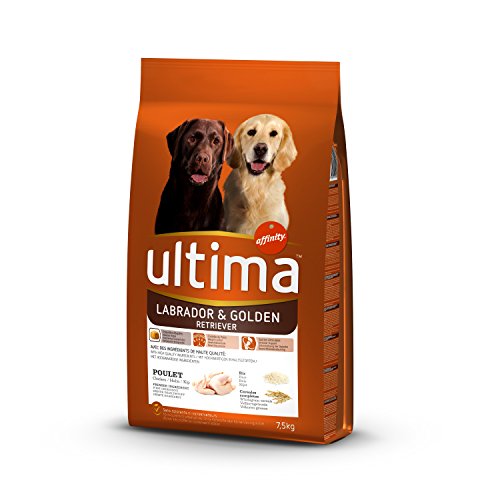 Ultima Croquettes Poulet/Orge pour Chien Labrador/Golden 7,5 kg