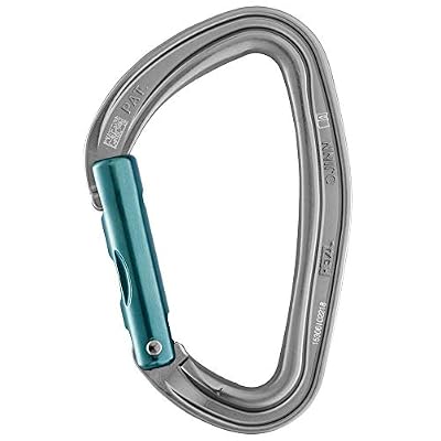 Petzl Mousqueton Djinn Droit Gris Adulte Unisexe, One Size