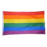 bandera lgbt 2019 DISEÑO DE DE ANILLO DE METAL: El lado izquierdo de la bandera nacional tiene dos pequeños anillos de metal, fáciles de colgar