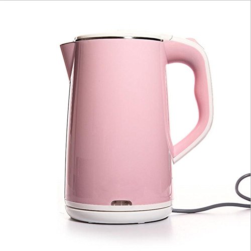 SHUIXHU Bouilloire lectrique Bouilloire Anti-brlure en Acier Inoxydable DE 2,0 L Bouillir Rapidement