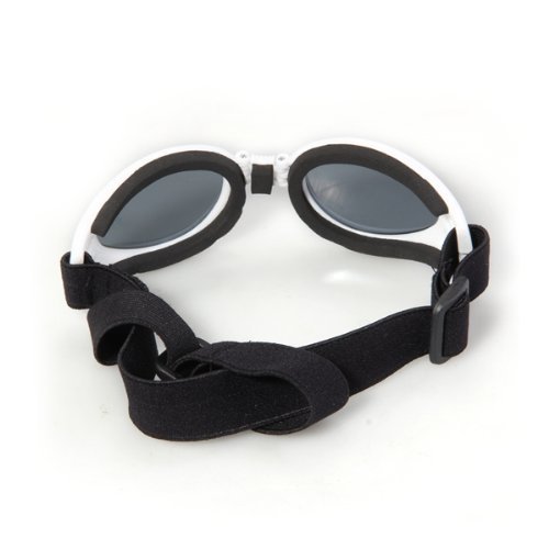 TOOGOOR-White-Framed-Pet-Puppy-Dog-UV-Protection-Goggles-Sunglasses-Eyewear