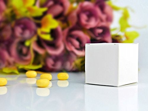 schlichte Geschenkschachteln für Hochzeitsgäste weiß 10 Stück individuell verzierbar Weihnachts - Tischdeko