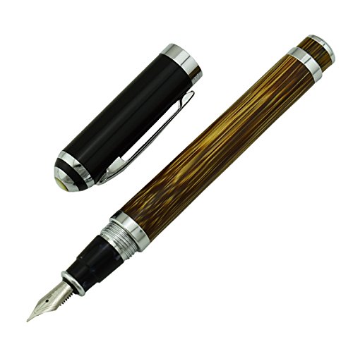 Duke Bamboo Stylo plume Medium - Fine Point Business Executive Pen avec étui Ensemble cadeau pour les affaires Signature
