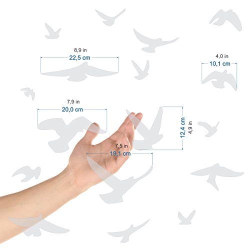 Greifvogel-Silhouetten, selbstklebend, in verschiedenen Farben verfügbar, verhindert Vogelschlag, 17 Warnvögel - Sablés-dépolis-translucides