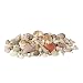 Produktbild Relaxdays Muschel Deko im Set, XL-Mix mit großen Meeresschnecken, Herzmuscheln, maritime Tischdeko zum Basteln 2kg, bunt