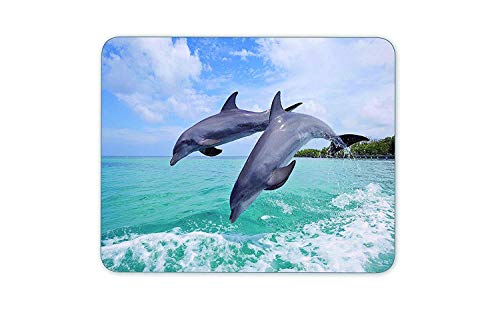 Preisvergleich Produktbild HYYCLS Jumping Two Dolphins Mauspads Great Gift Idea