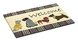 Bonito diseño 40 cm x 60 cm perros Felpudo de bienvenida