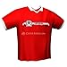 Produktbild GamersWear TEAM AUSTRIA Trikot Red (XL)