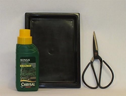 3 Piece Bonsai Tree Care Kit with large scissors