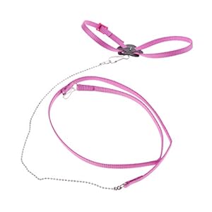 MagiDeal Correa de Arnés Pájaro Reptil Animal Doméstico Accesoiros de Mascóta Duradero – Rosa