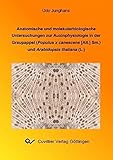 Anatomische und molekularbiologische Untersuchungen zur Auxinphysiologie in der Graupappel (Populus x canescens (Ait.) Sm.) und Arabidopsis thaliana (L.)