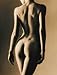 Produktbild Sepia Female Duotone Akt Poster Erotik Poster schwarz-weiss nackte hot Girls schöne Frauen - Grösse 61x91,5 cm