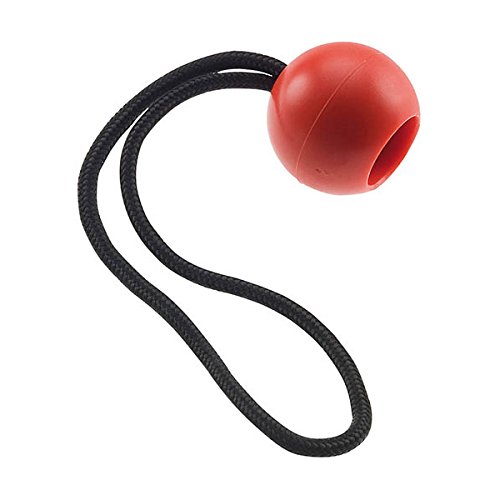 Preisvergleich Produktbild Camp Herbol Retrieval Ball für Cambium
