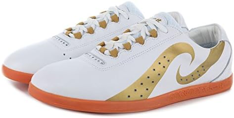 Jinji Unisex Adults Wing Chun Taichi Slipper Martial Art Sneaker Taekwondo Shoes (UK 7=Asian 42, White)