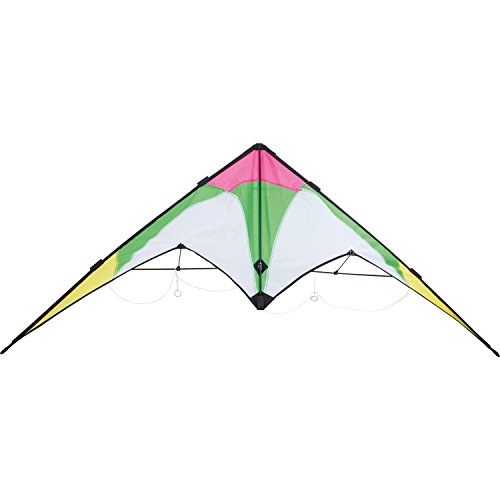 Preisvergleich Produktbild Outdoorspielzeug Lenkdrachen Frühling