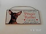 prager rattler club schweiz Schild aus echtem 8mm Sperrholz.