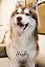 Produktbild Husky: Animal Notebook for Kids, Notebook for Coloring Drawing and Writing (110 Pages, Unlined, 6 x 9) (Animal Glossy Notebook)