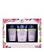 Neal's Yard Remedies Hand Cream Collection: Geranium & Orange Hand Cream 50ml, Wild Rose Hand Cream 50ml, Garden Mint & Bergamot Hand Cream 50ml