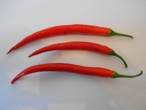 Cayenne Rot 10 Samen (Eine der bekanntesten Chili's der Welt)