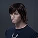 Songmics New Fashion Brown Short Wig for Men Full Hair 29 cm WMF014