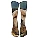 Produktbild hat pillow Long Dress Socks Cotton Golden Retriever Dog Football Comfortable Breathable Over-the-Calf Tube